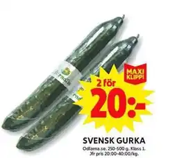 ICA Maxi Svensk Gurka erbjuda