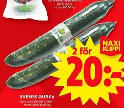 ICA Maxi Svensk gurka erbjuda