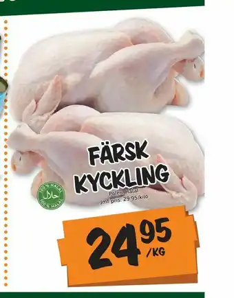 Bazaar Food market Färsk kyckling erbjuda