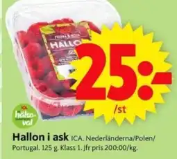 ICA Supermarket ICA Hallon i ask erbjuda