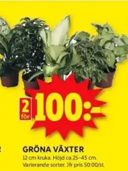 ICA Kvantum Gröna växter erbjuda