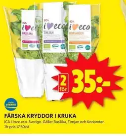 ICA Kvantum Färska kryddor i kruka erbjuda