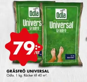 ÖoB ODLA Gräsfrö Universal erbjuda