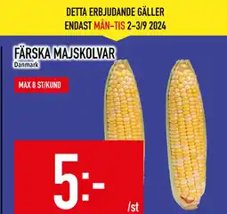 Matdax FÄRSKA MAJSKOLVAR erbjuda