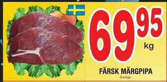 Nya Pulsen Färsk märgpipa erbjuda