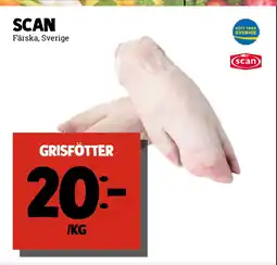 grisfötter