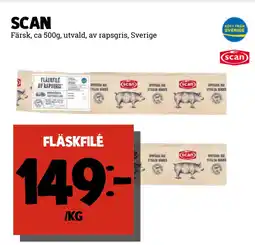 fläskfilé