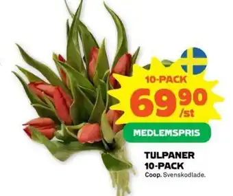 Coop Forum Coop Tulpaner 10-pack erbjuda