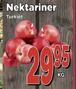 Supergrossen Nektariner erbjuda
