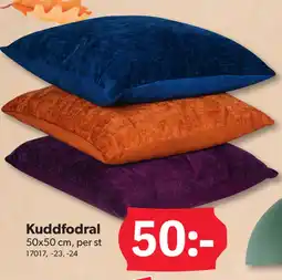 DollarStore Kuddfodral erbjuda