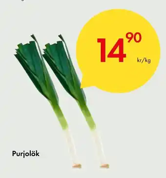 Snabbgross Purjolök erbjuda