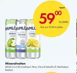 Snabbgross Mineralvatten erbjuda