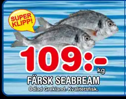 Nya Pulsen FÄRSK SEABREAM erbjuda