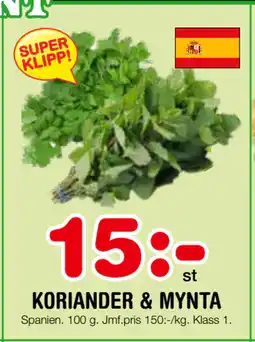 Nya Pulsen KORIANDER & MYNTA erbjuda
