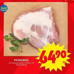 ICA Maxi PICNICBOG erbjuda