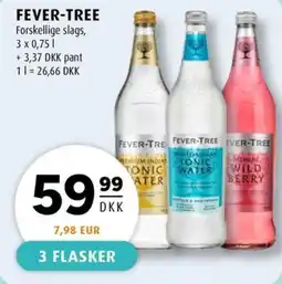 Scandinavian Park Fever-tree erbjuda