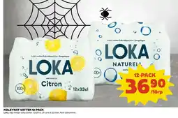 KOLSYRAT VATTEN 12-PACK