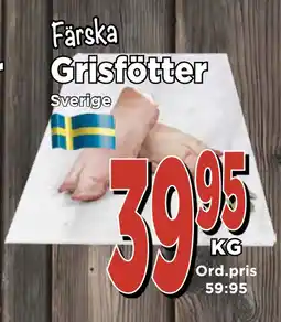 Supergrossen Grisfötter erbjuda