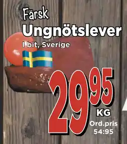 Supergrossen Ungnötslever erbjuda
