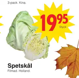 Spetskål