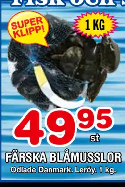 Nya Pulsen FÄRSKA BLÅMUSSLOR erbjuda