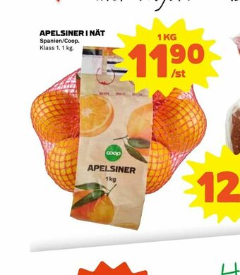 Coop Apelsiner i nät erbjuda