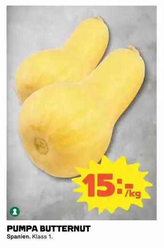 Pumpa butternut
