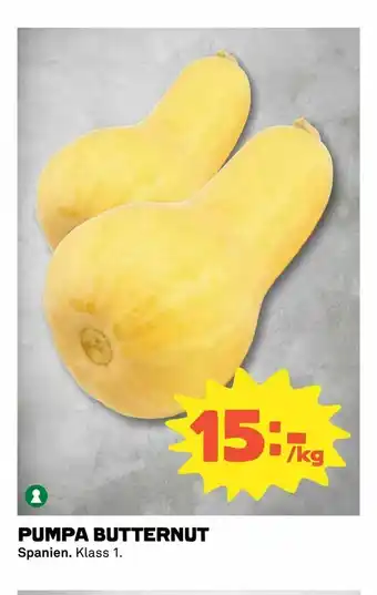 Pumpa butternut