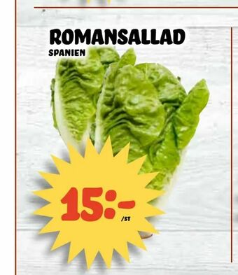Nelins Romansallad erbjuda