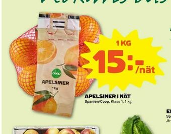 Stora Coop Apelsiner i nät erbjuda