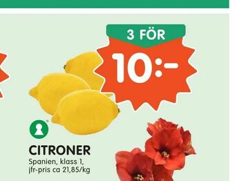 Tempo Citroner erbjuda