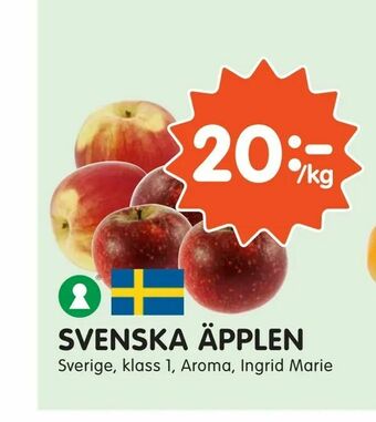 Tempo Svenska äpplen erbjuda
