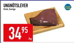 Matdax UNGNÖTSLEVER erbjuda