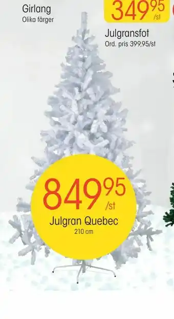 EKO Julgran Quebec erbjuda