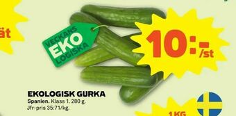 Coop Forum Ekologisk gurka erbjuda