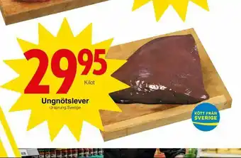 Ungnötslever