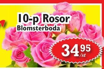T-jarlen 10-p Rosor erbjuda