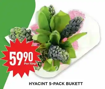 Willys Hyacint 5-pack bukett erbjuda