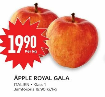 Willys Äpple royal gala erbjuda
