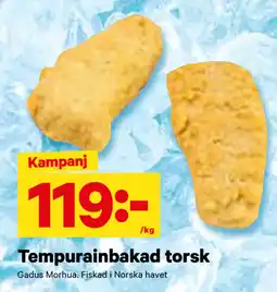 City Gross Tempurainbakad torsk erbjuda