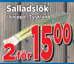 Supergrossen Salladslök erbjuda