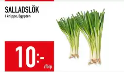 Matdax SALLADSLÖK erbjuda