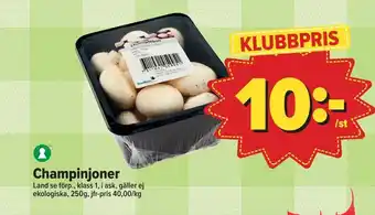 Östenssons Champinjoner erbjuda
