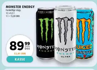 Scandinavian Park MONSTER ENERGY erbjuda