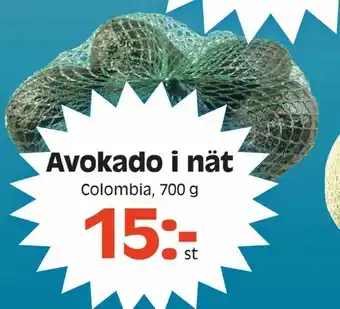 Avokado i nät