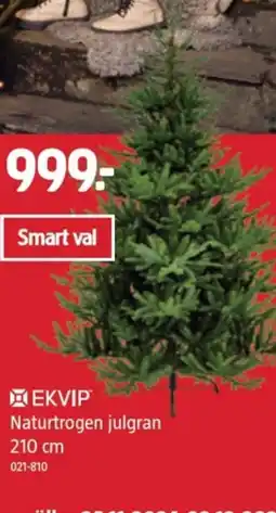Jula EKVIP Naturtrogen julgran erbjuda