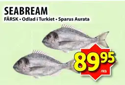 Matvärlden Tensta SEABREAM erbjuda