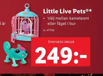 Lidl Little Live Pets® erbjuda