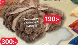DollarStore Pläd erbjuda