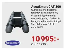 AquaSmart CAT 300
